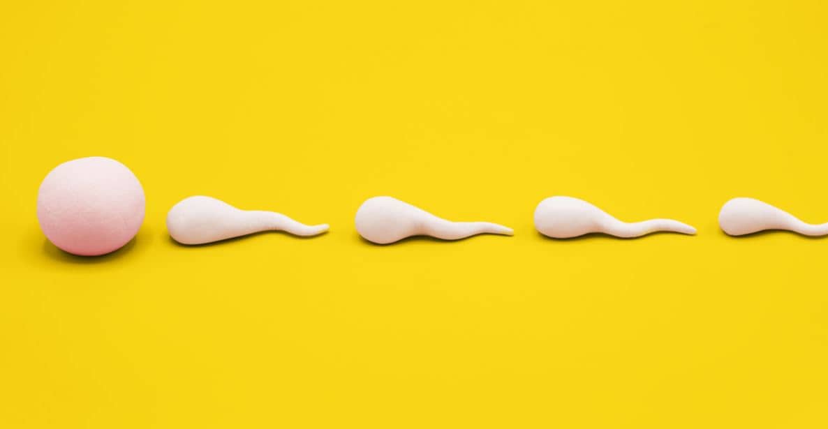 How to Boost Sperm Quality