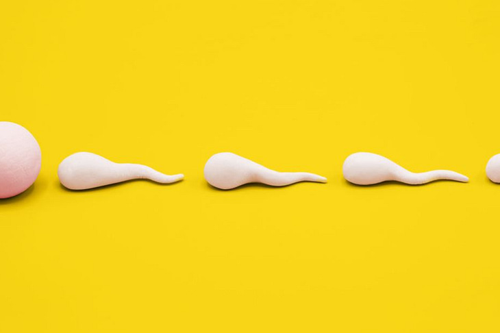 How to Boost Sperm Quality